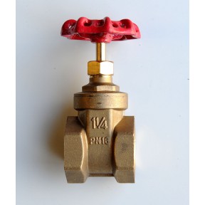 Brass gate valve screwed bsp PN20